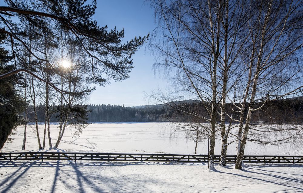Orea Resort Devet Skal Vysocina Sněžné Eksteriør billede